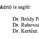 Illustration for article titled A saját fizetett embere vizsgálhatja Rogán vagyonosodását